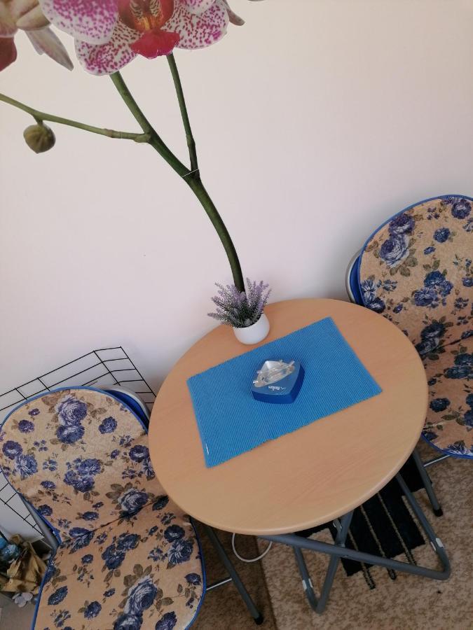 Apartman Nena Nova Varoš المظهر الخارجي الصورة